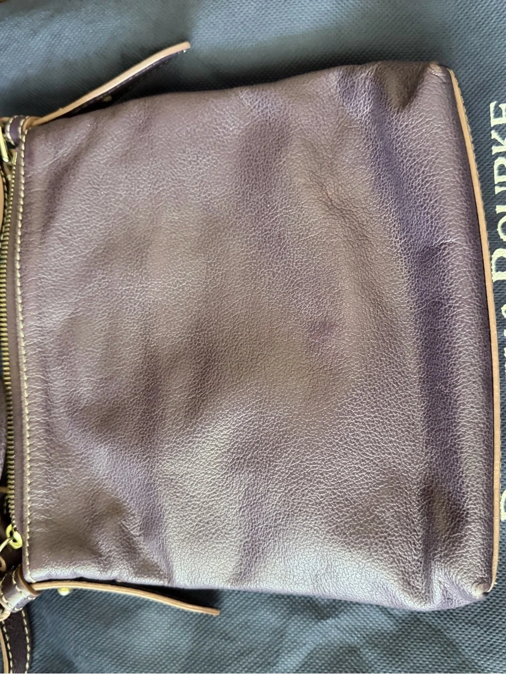 Dooney & Bourke Plum Leather Crossbody Bag with Brass Plaque